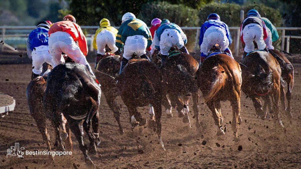 Horse Race Betting
