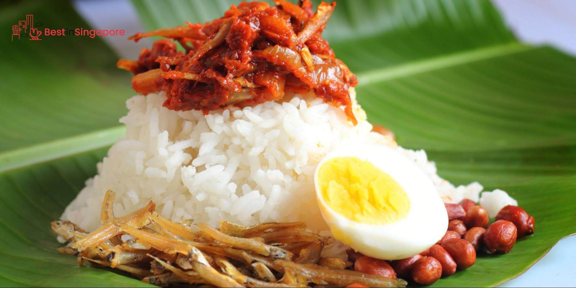 Nasi Lemak