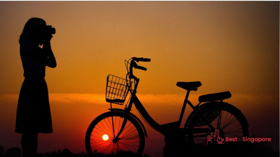 Pedalling Paradise Top 12 Singapore Cycling Routes