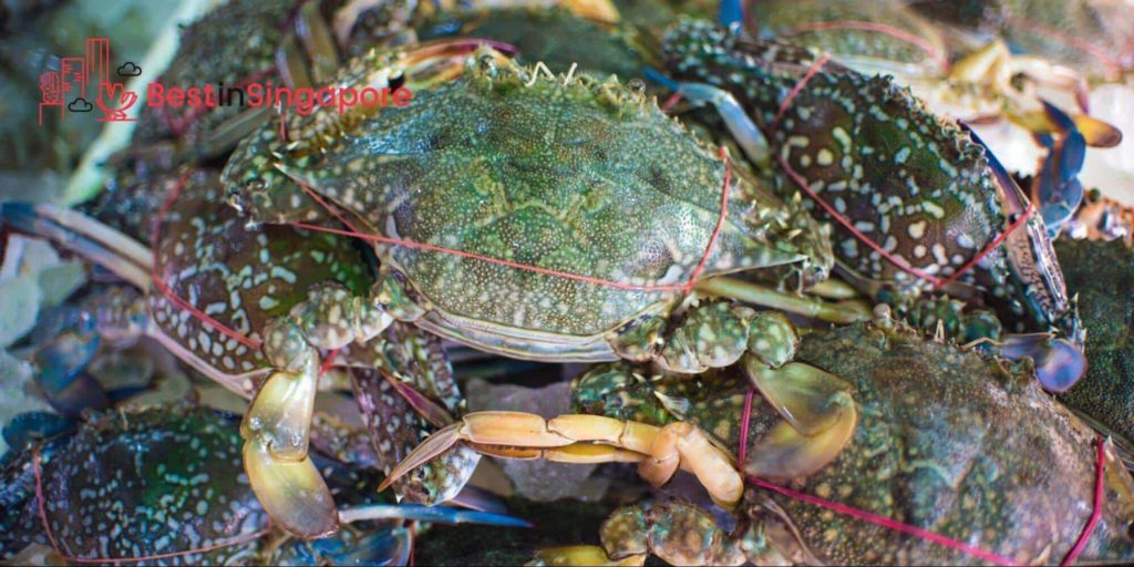 Seafood