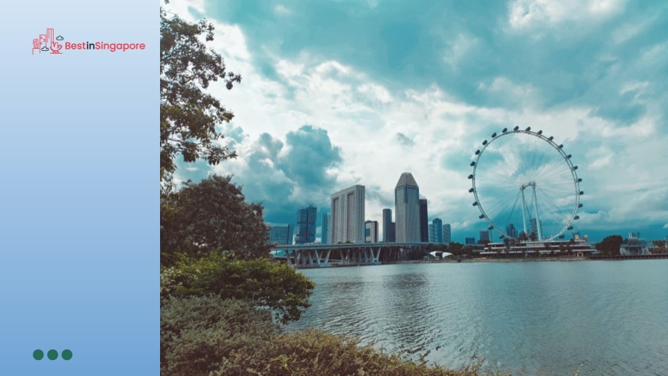 The Spinning Allure of the Singapore Flyer