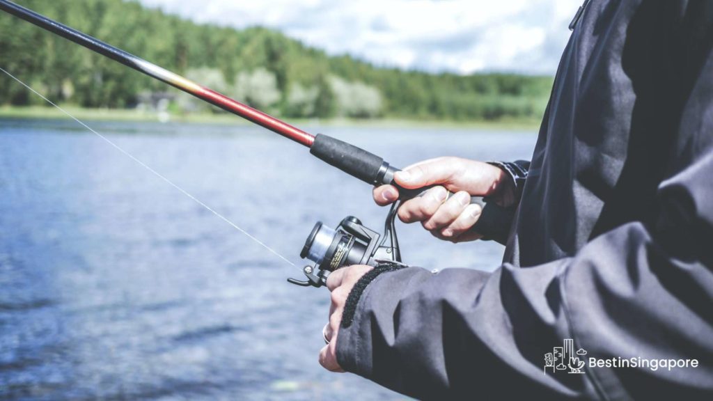 Try your hand at fishing