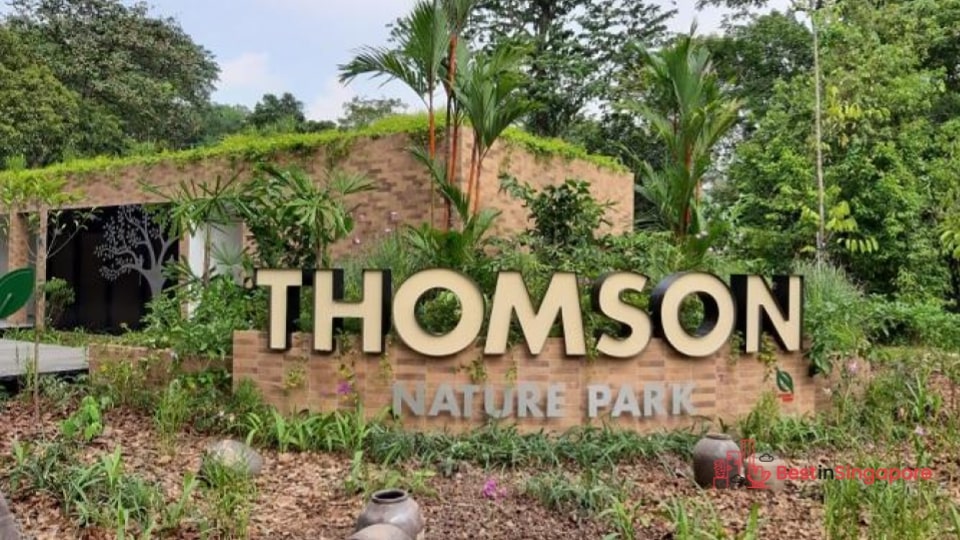 A Guide to Discovering the Wonders of Thomson Nature Park