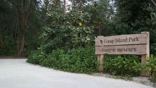 Coney Island Park