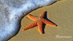 The BEST Beaches in Singapore