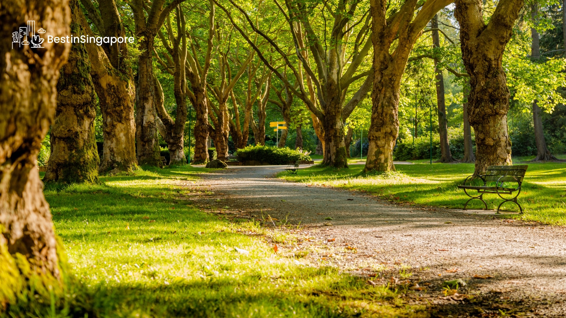 Top 25 Hidden Parks in Singapore