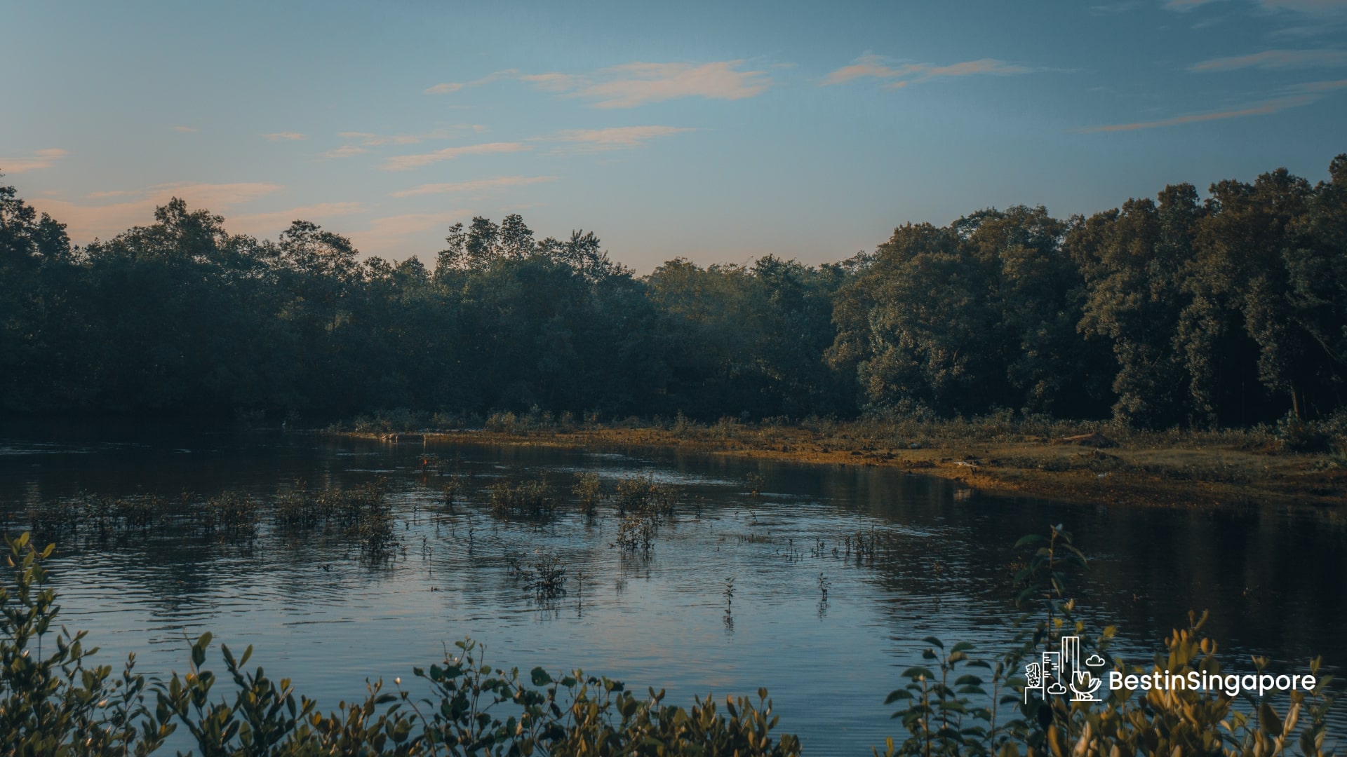 A Guide to Sungei Buloh Wetland Reserve