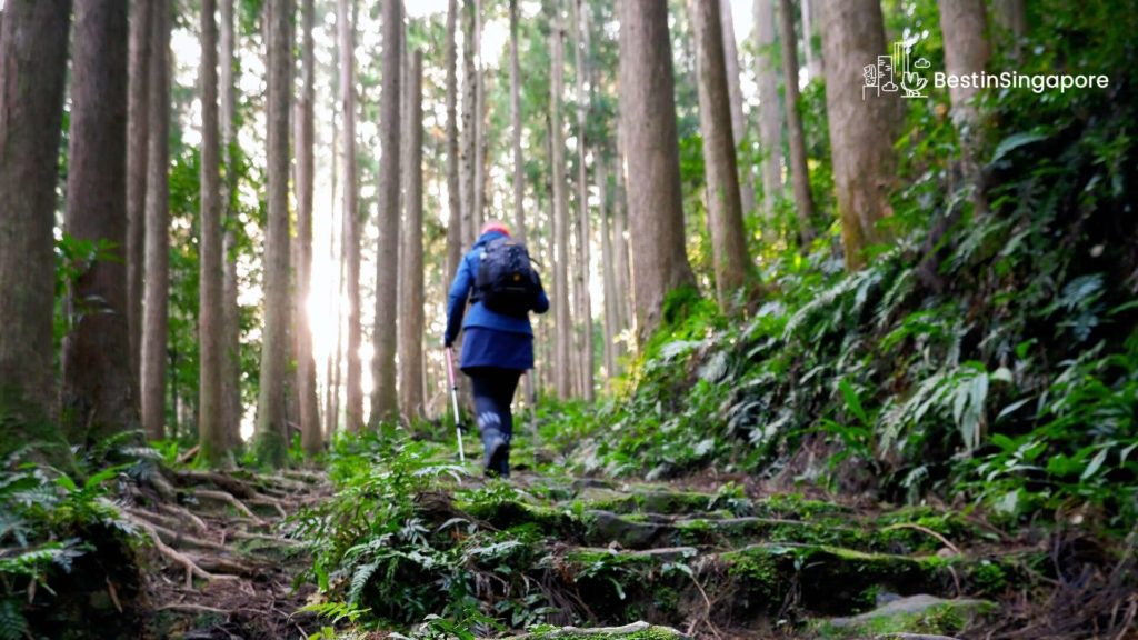 Go hiking, jogging, or cycling