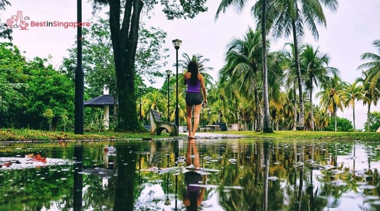 The Ultimate Vacation Guide to Pasir Ris [2026 ]