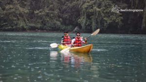 Many Options for Recreation