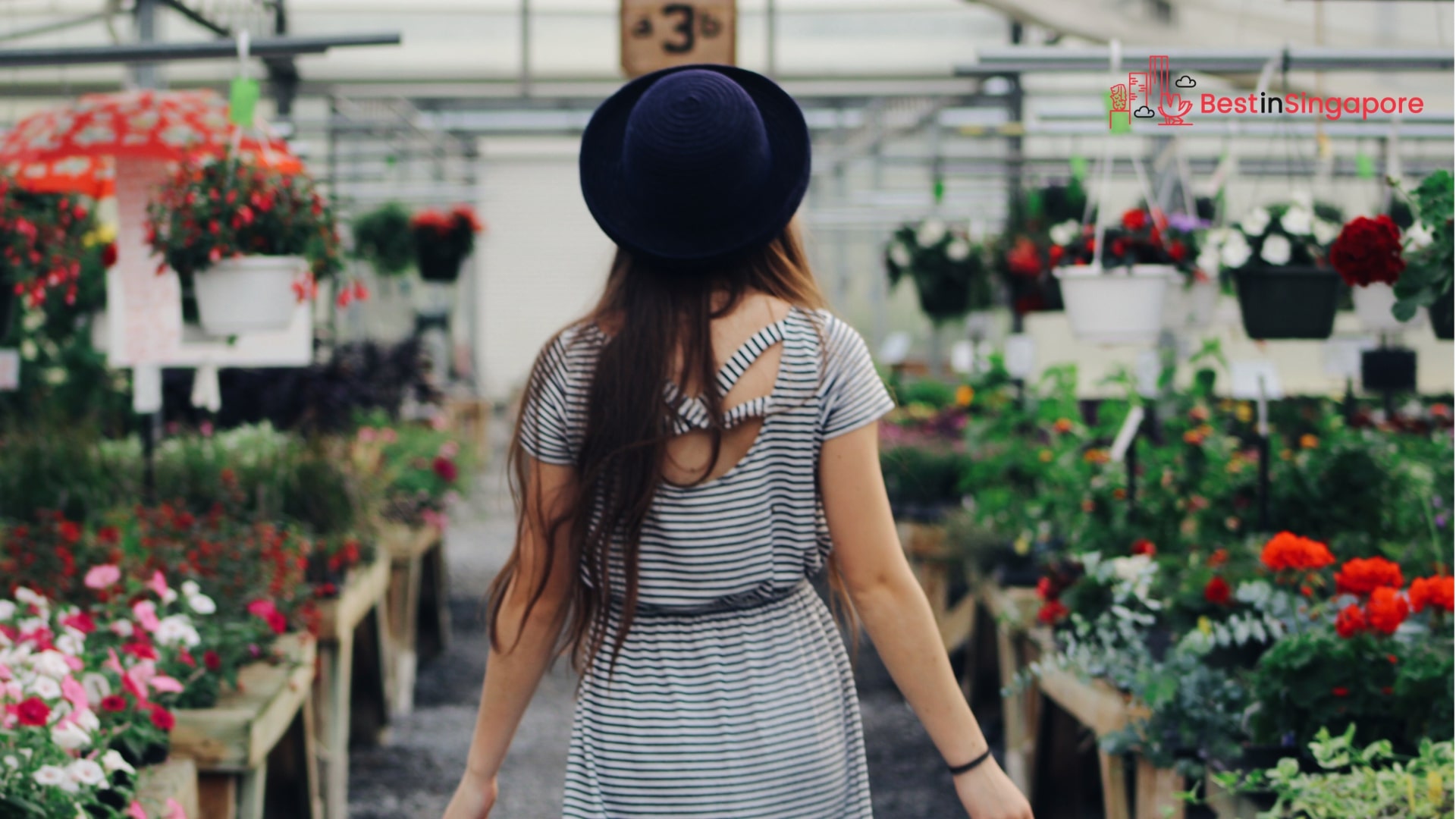 A Guide to City Sprouts