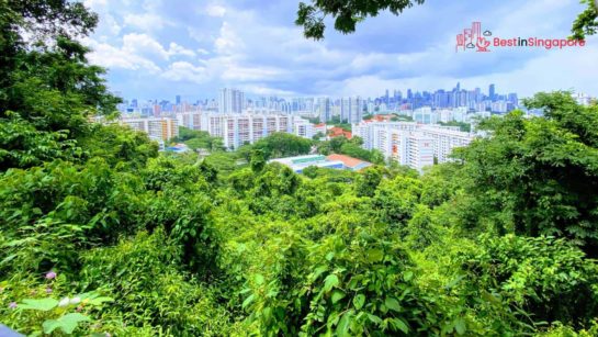 From Gorgeous Views to Fine Dining: A Guide to Mount Faber [2026 ]