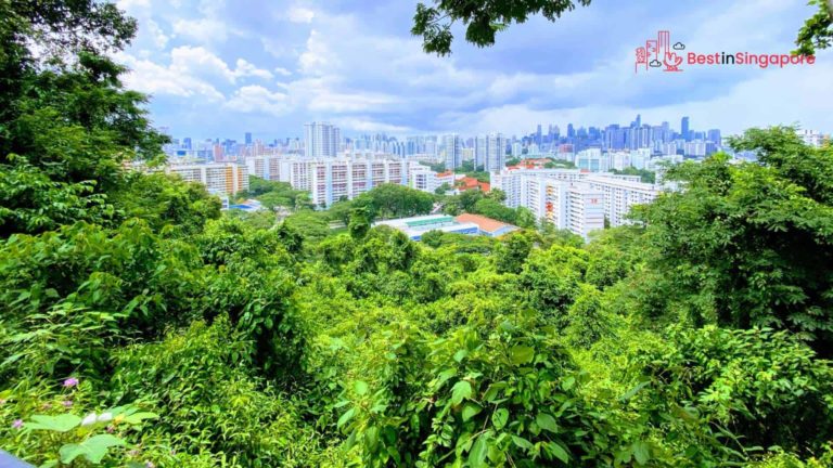 From Gorgeous Views to Fine Dining: A Guide to Mount Faber [2026 ]