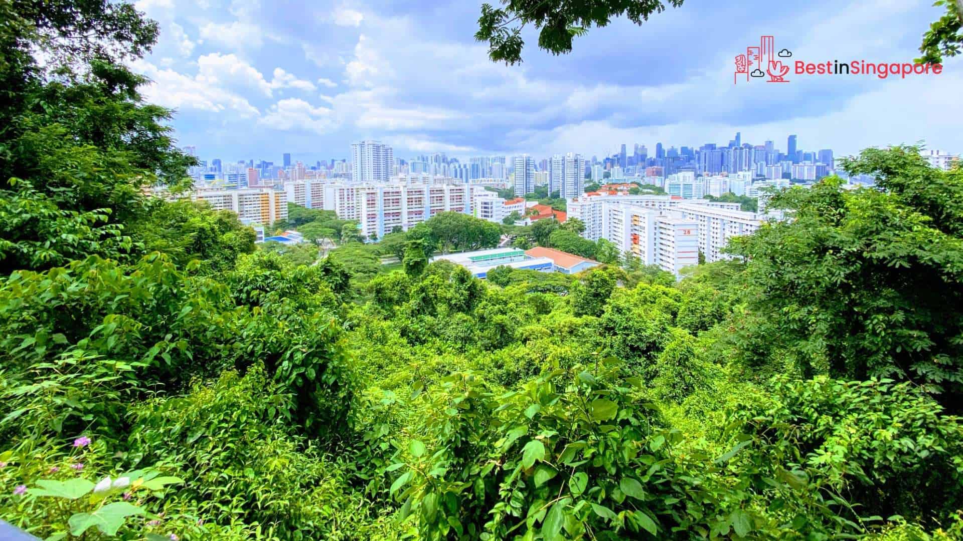 A Scenic Destination Your Guide to Mount Faber