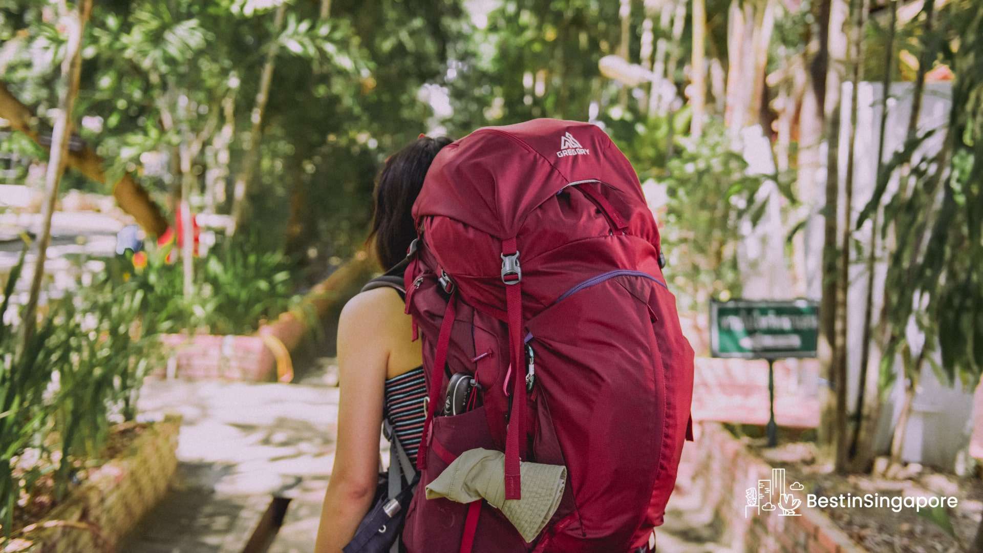Go on a Whirlwind Adventure During a Stopover in Singapore