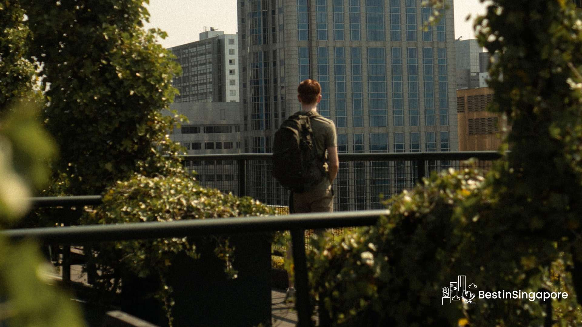 On Top of the World A Guide to CapitaSpring Sky Garden