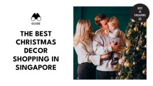 Christmas Decor Shopping