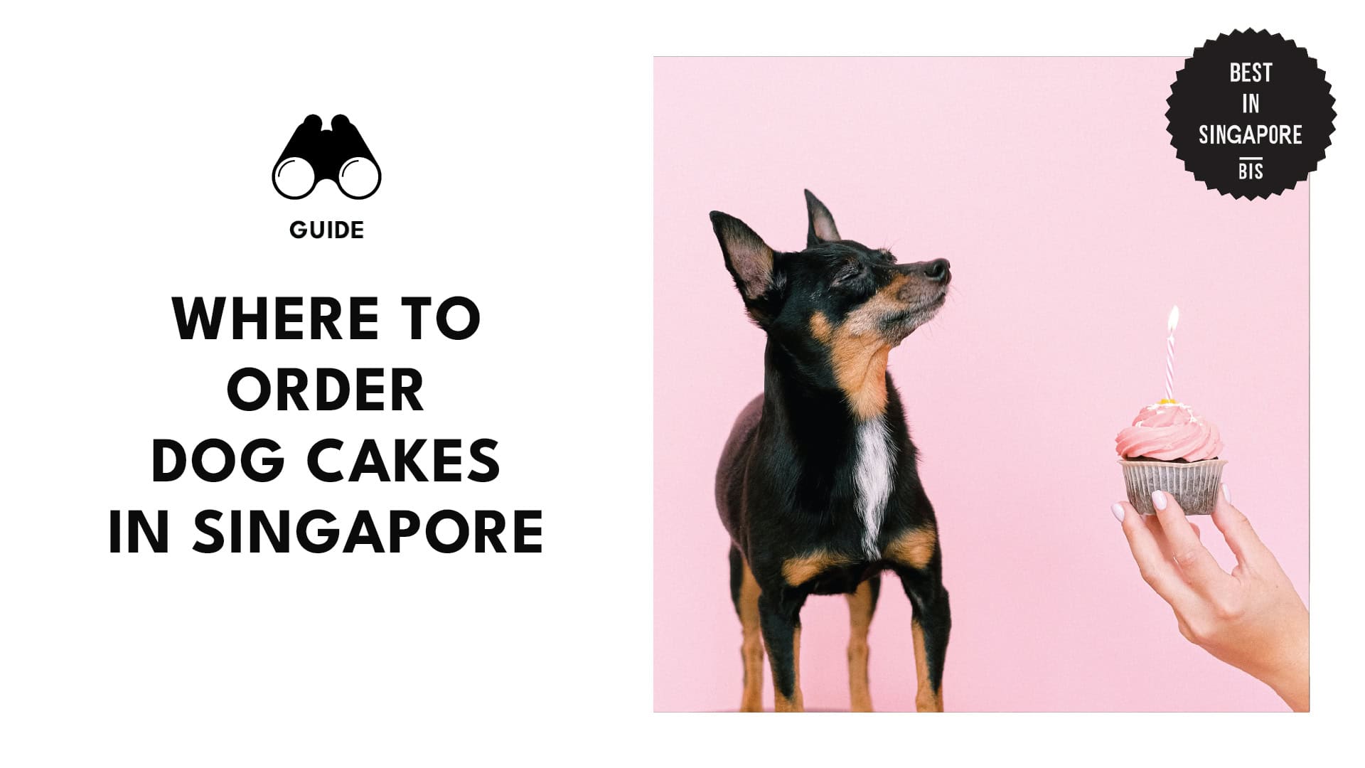best-dog-cake-singapore-featured-banner