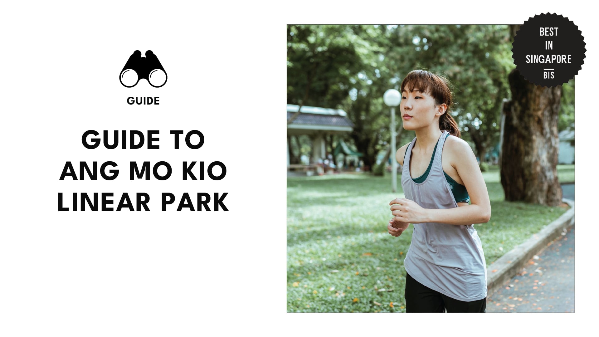 ang-mo-kio-linear-park-banner