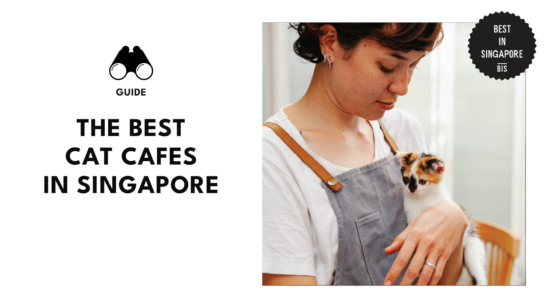 best-cat-cafes-singapore-banner