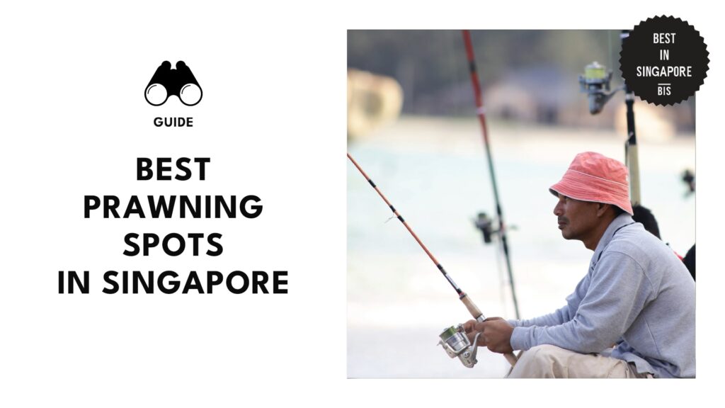 Top 9 Prawning Spots in Singapore That Will Reel You In [2026]