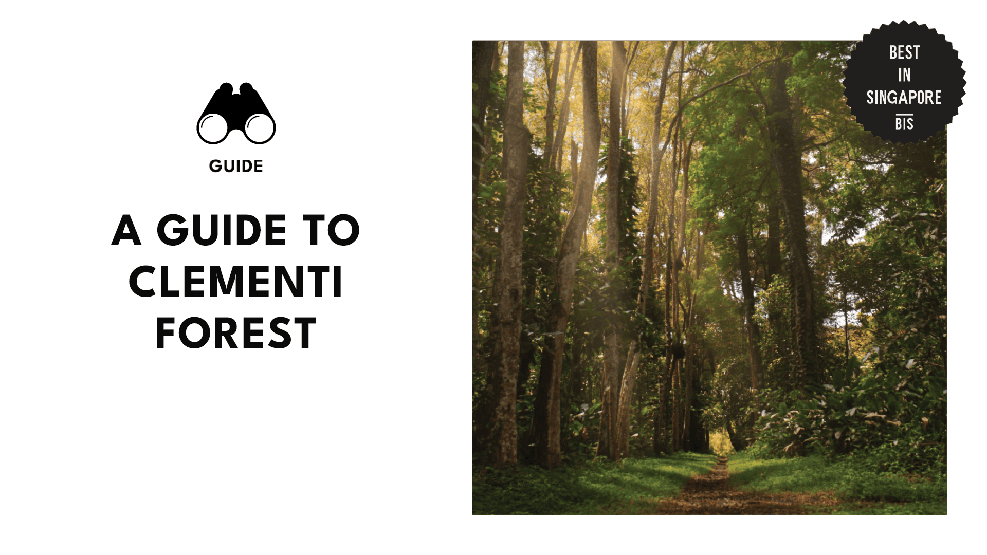clementi-forest-singapore-banner