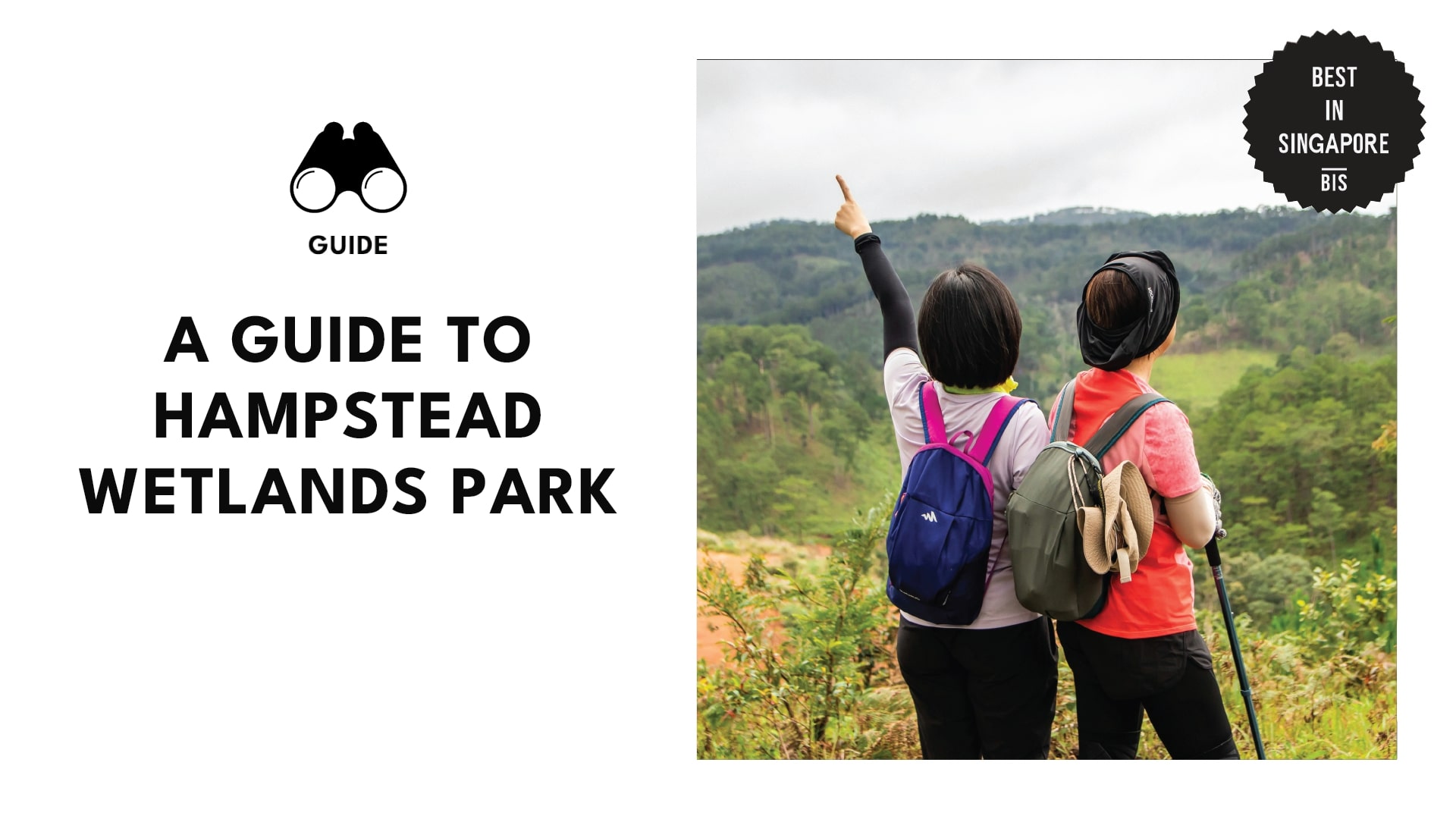 hampstead-wetlands-park-banner