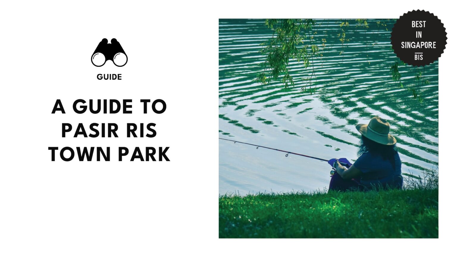 Flora, Fauna, Fun, & Fishing Guide to Pasir Ris Town Park [2026]