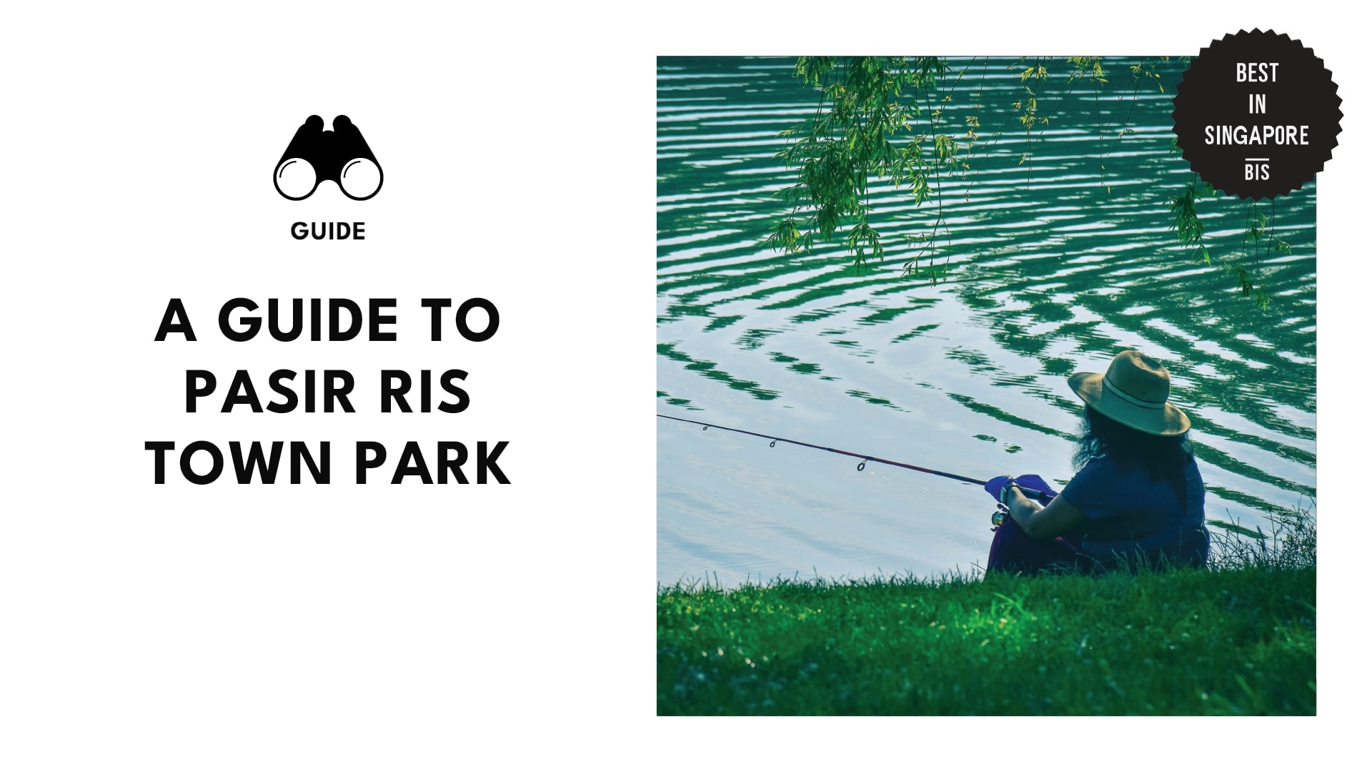 pasir-ris-town-park-banner