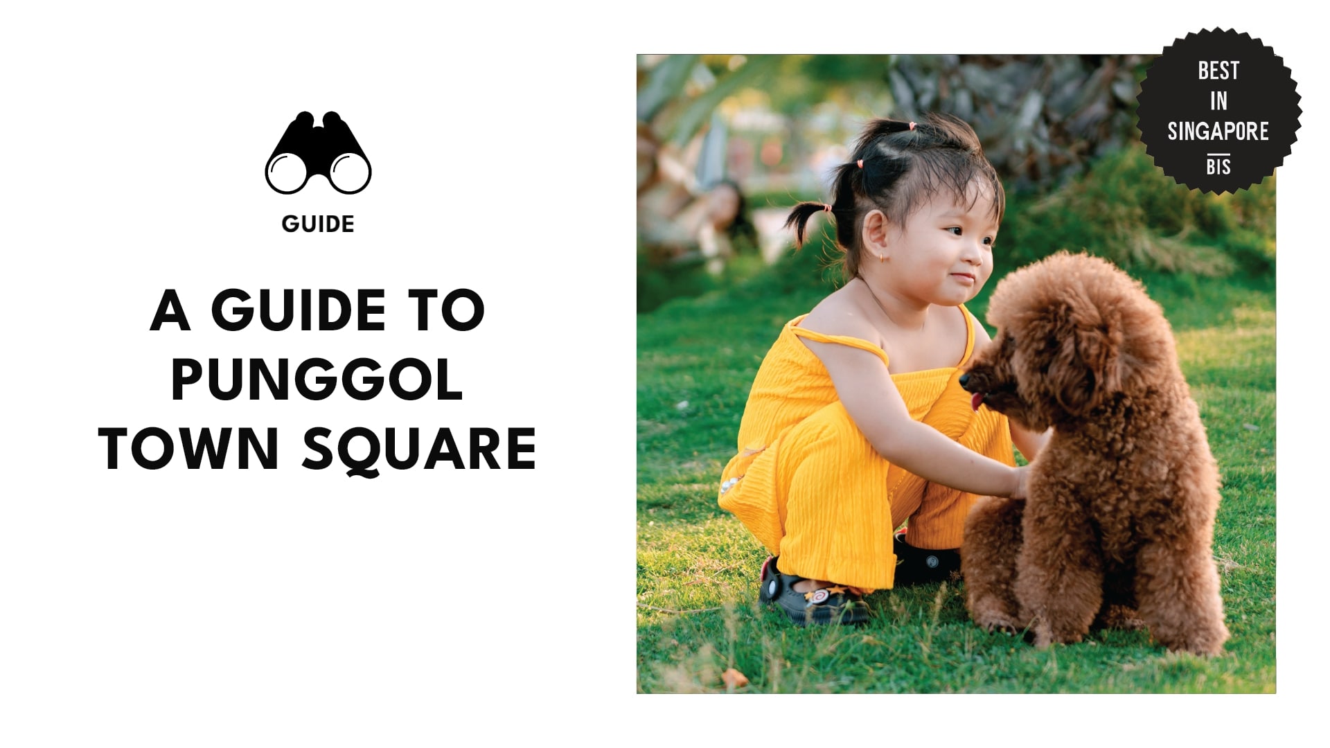 punggol-town-square-banner