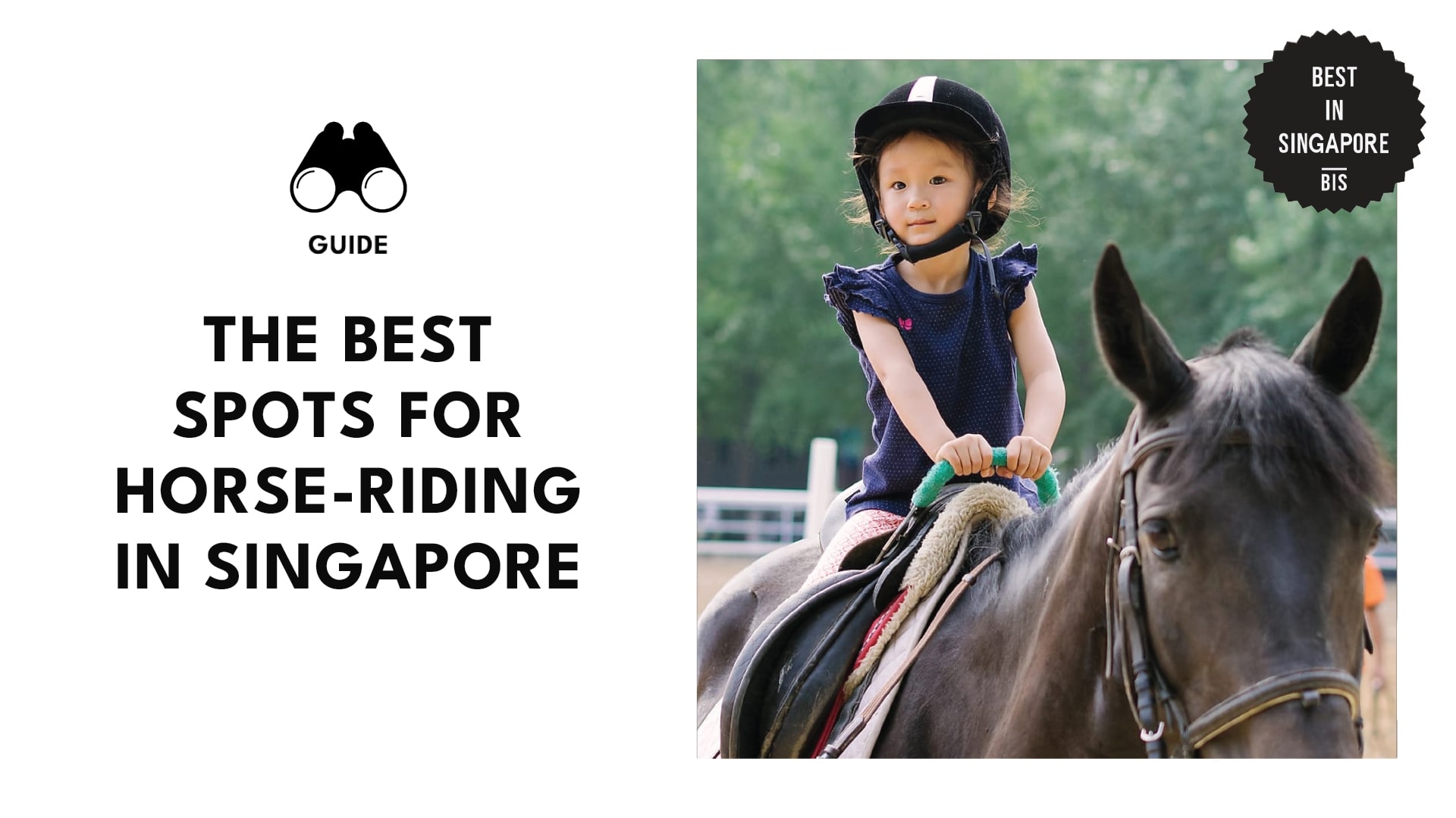 best-horse-riding-singapore-banner