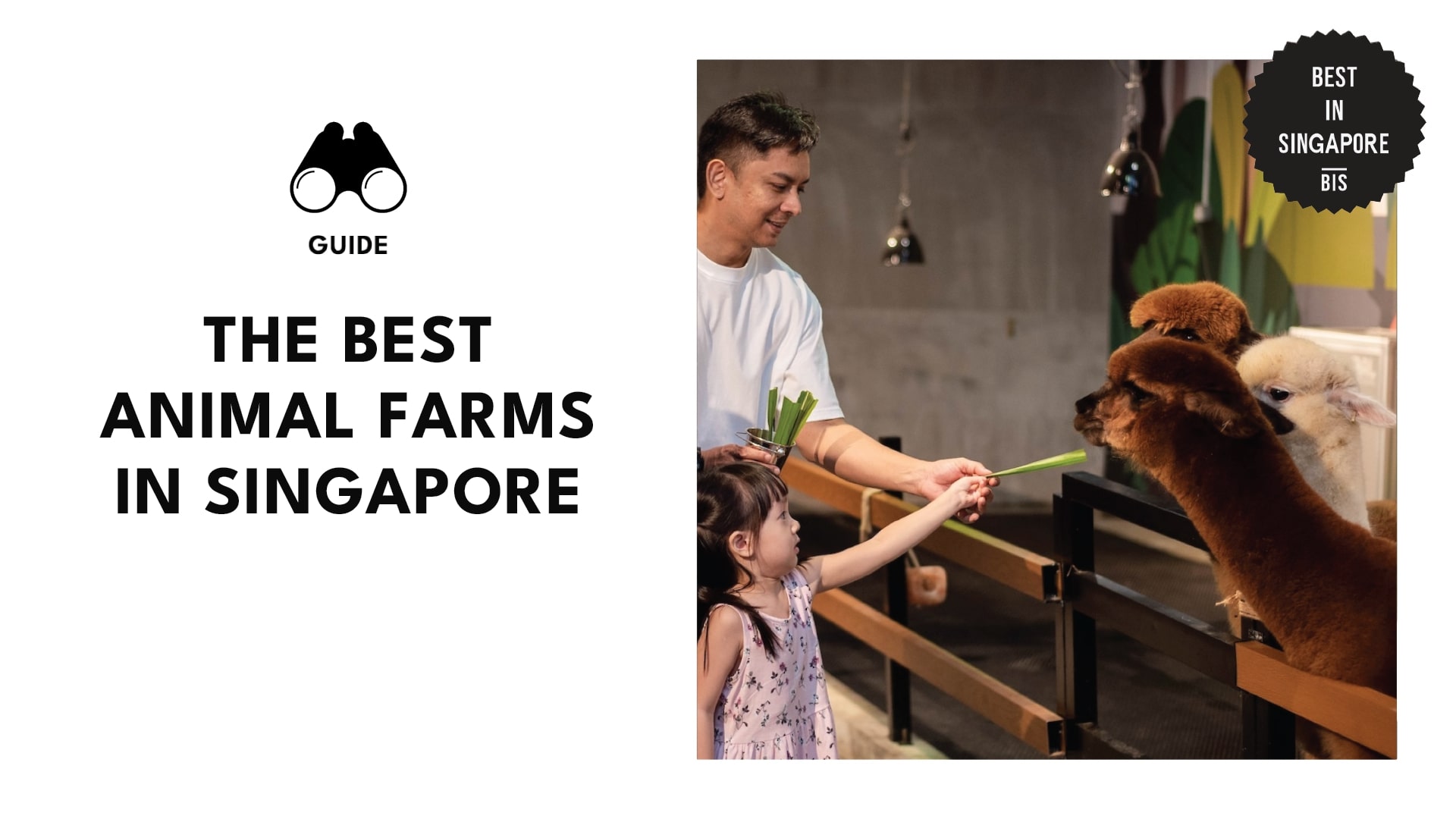 best-animal-farms-singapore-banner
