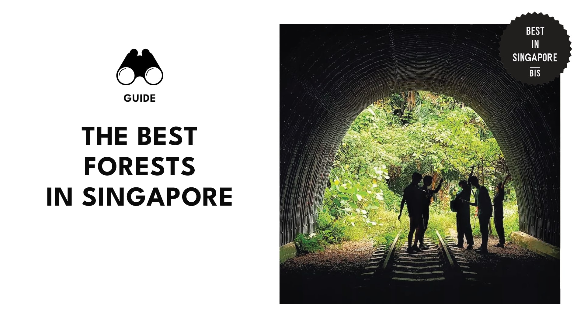 best-forests-singapore-banner