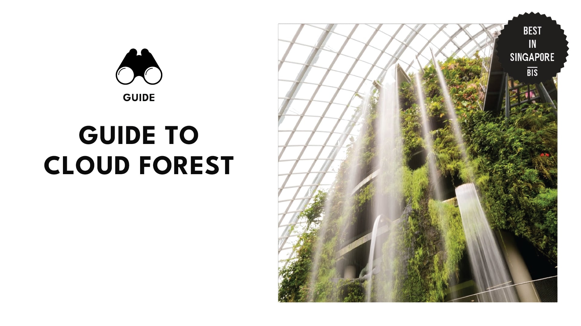 guide-to-cloud-forest-banner