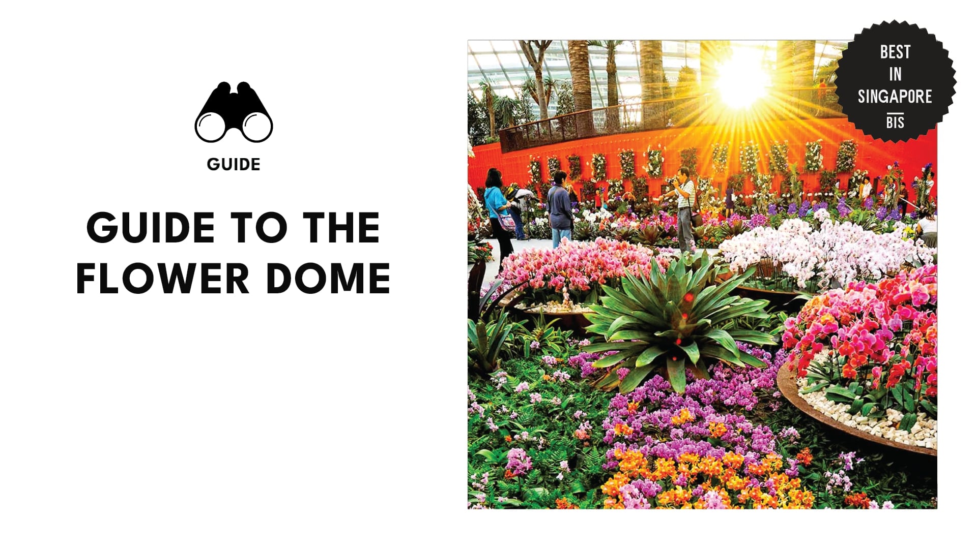 flower-dome-banner