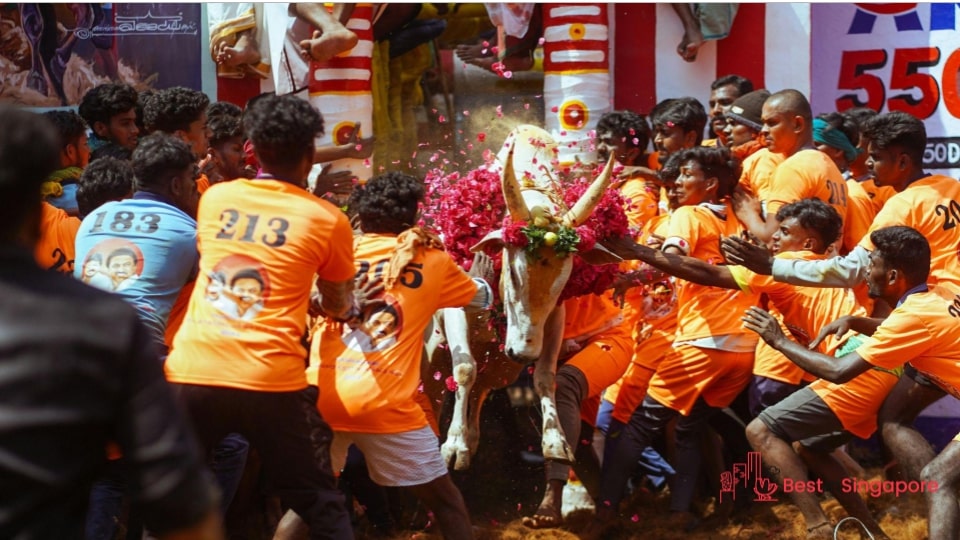 pongal-festival-banner