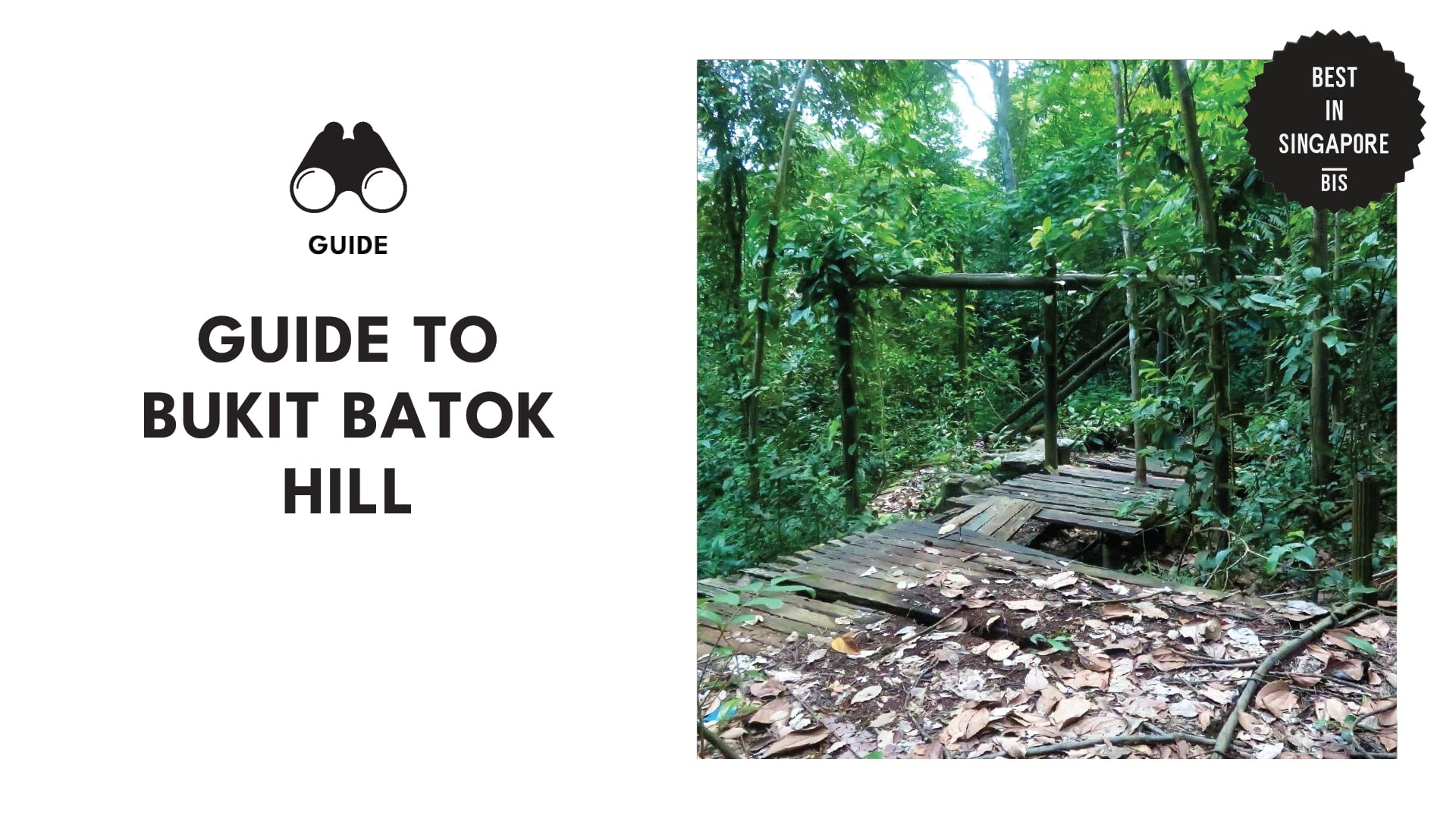 bukit-batok-hill-guide-banner