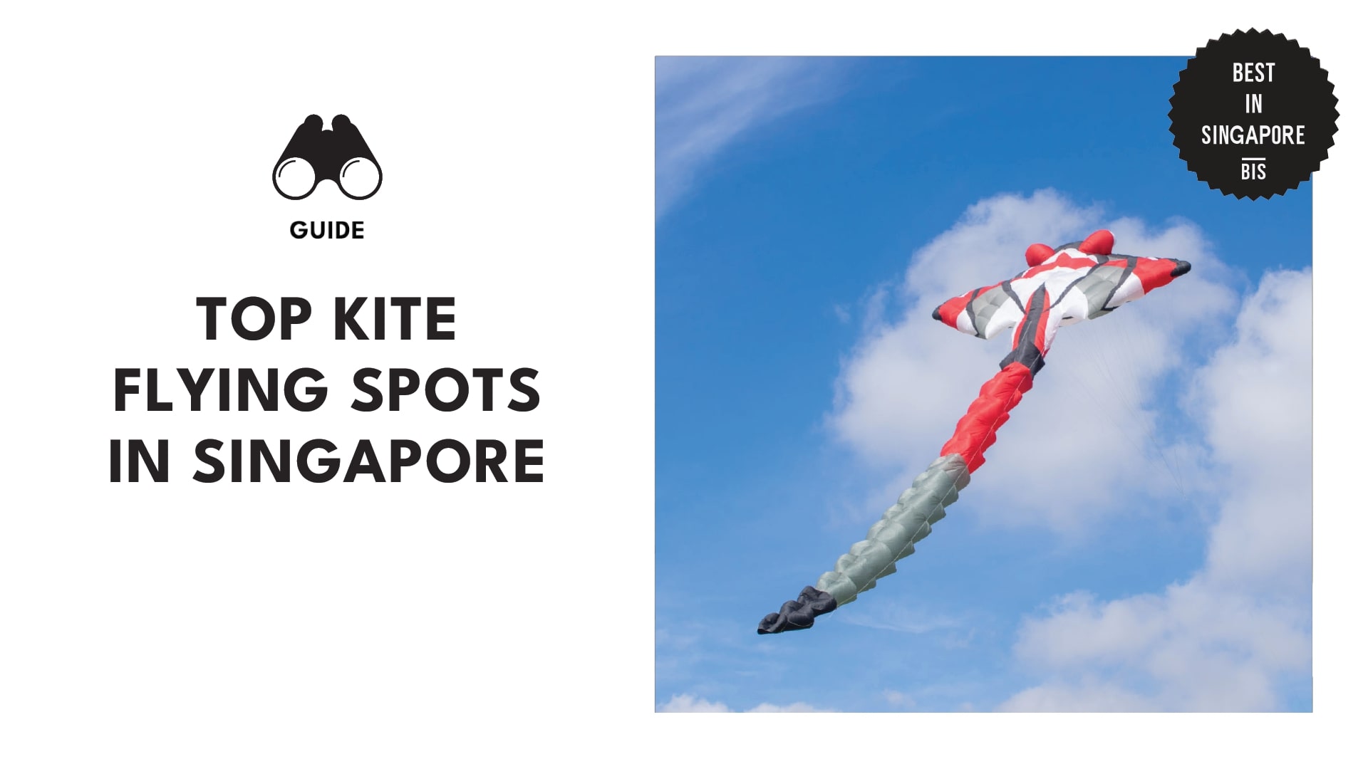 top-kite-flying-singapore-banner