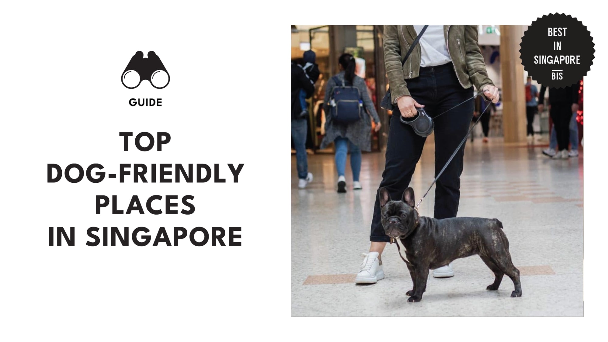 best-dog-friendly-places-singapore-banner