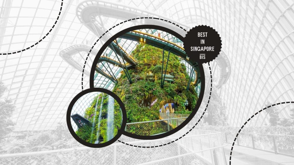 attractions-image