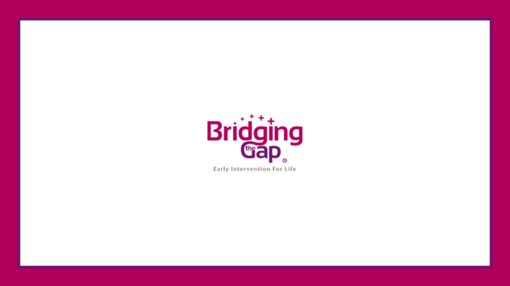 bridging-the-gap-logo