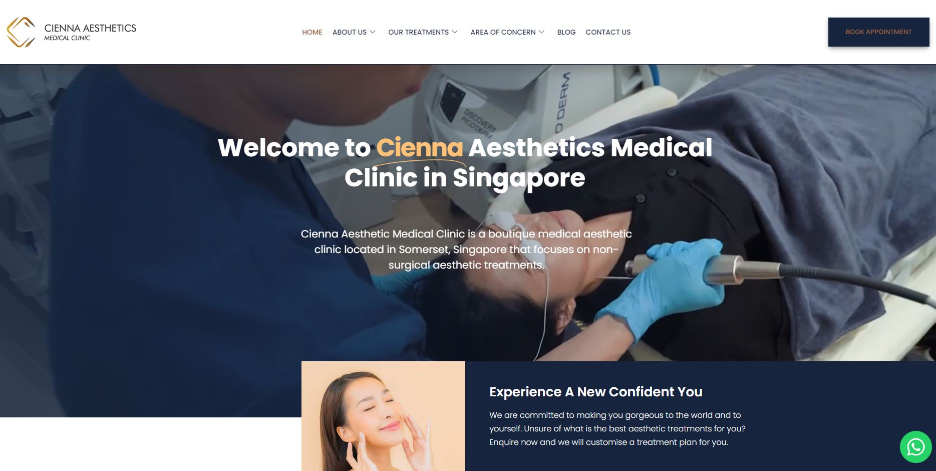 cienna aesthetics homepage