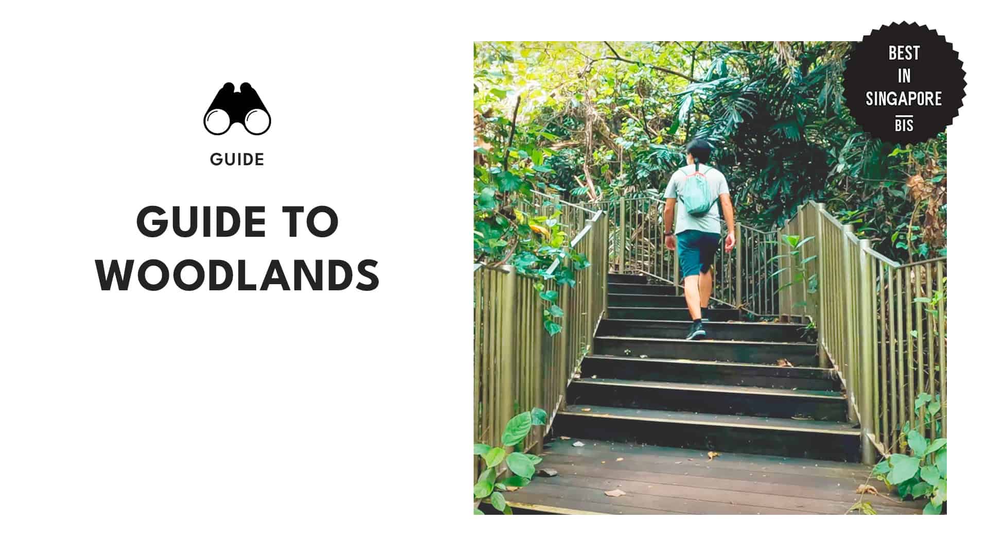 woodlands-banner