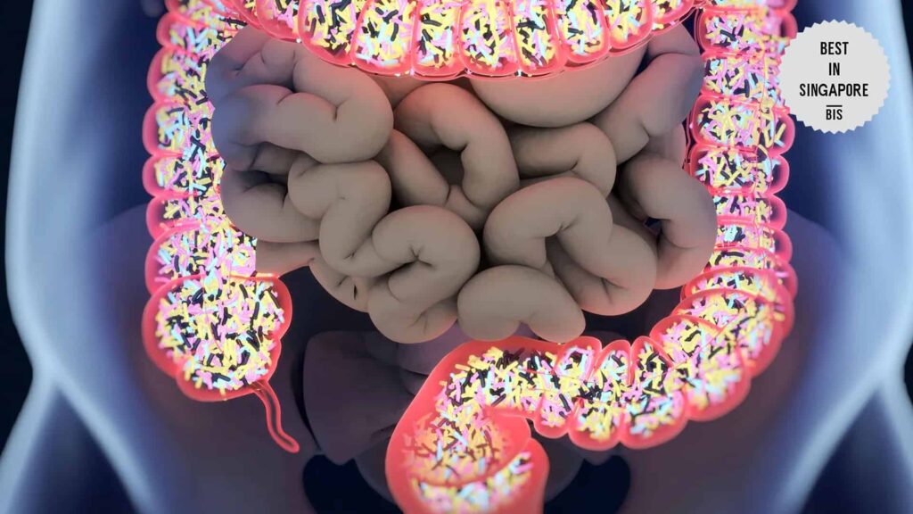 probiotic-strains-entering-the-digestive-tract