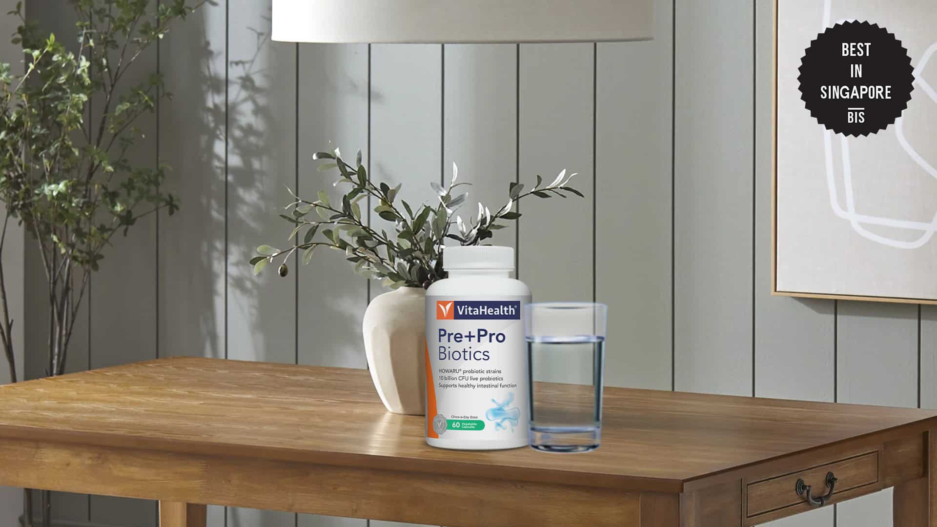 vitahealth-pre-probiotics-banner