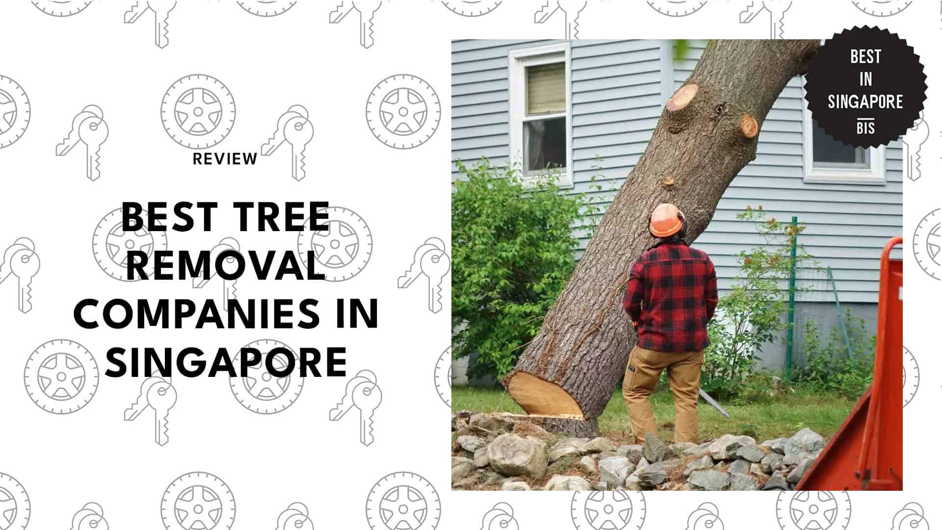 best-tree-removal-singapore-banner