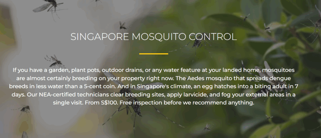 Termite Specialist - mosquito control