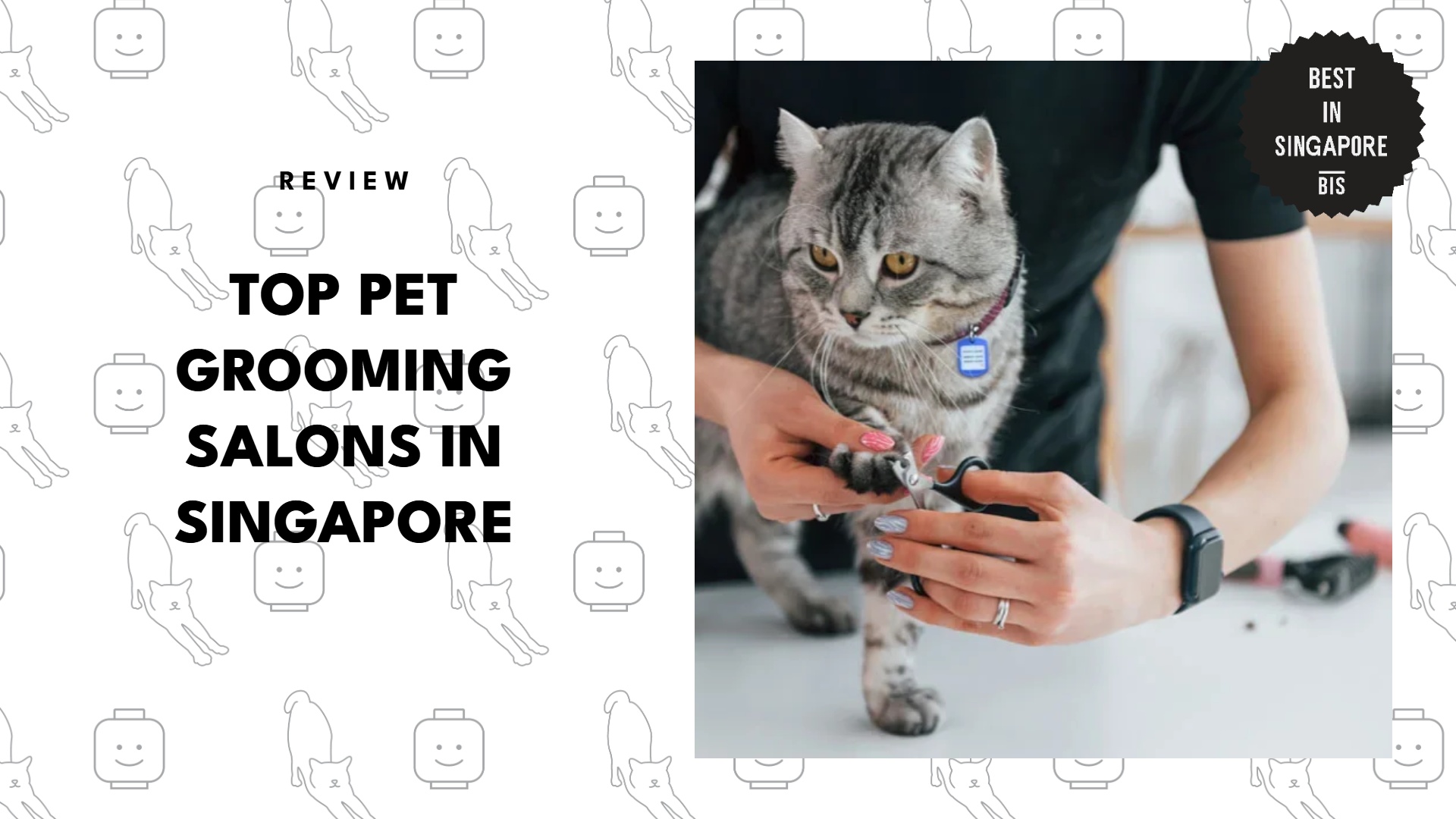 top-pet-grooming-singapore