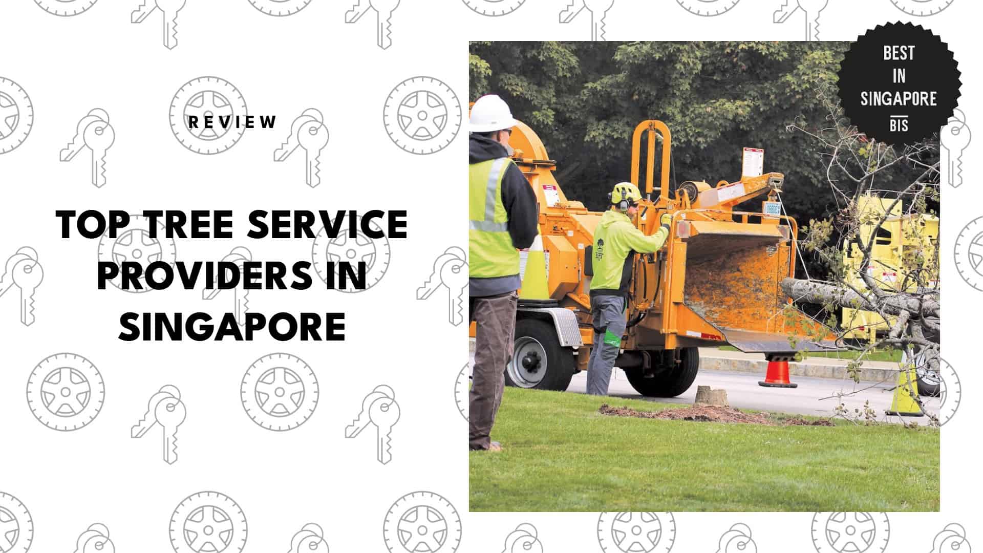 top-tree-service-singapore-banner